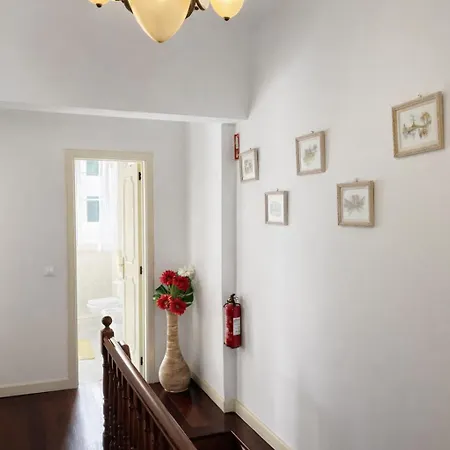 Holiday home Violeta House *